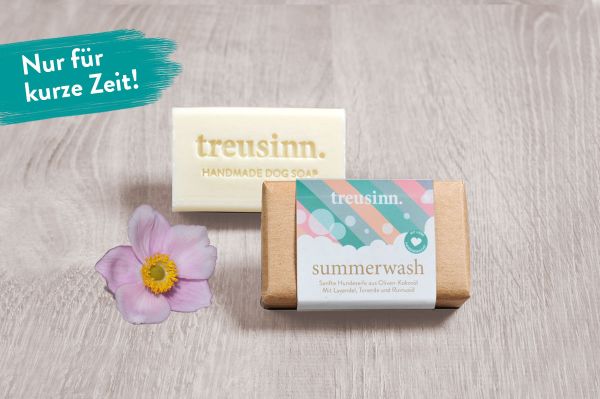 Treusinn Hundeseife Summer Wash