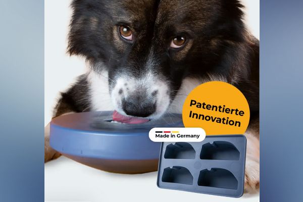 BOGGL® Einsteiger-Set M