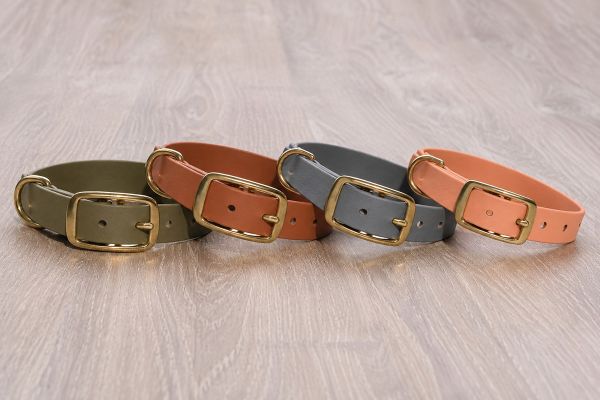 Treusinn Hundehalsband mit goldenen Beschlägen